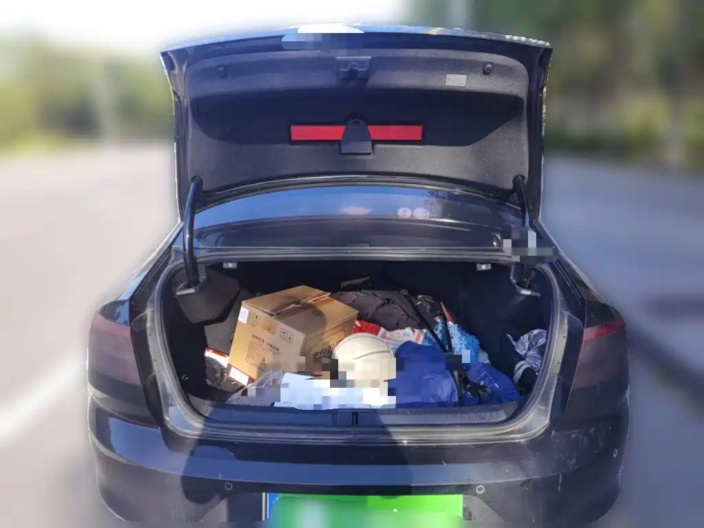 Volkswagen Magotan — миниатюра 15