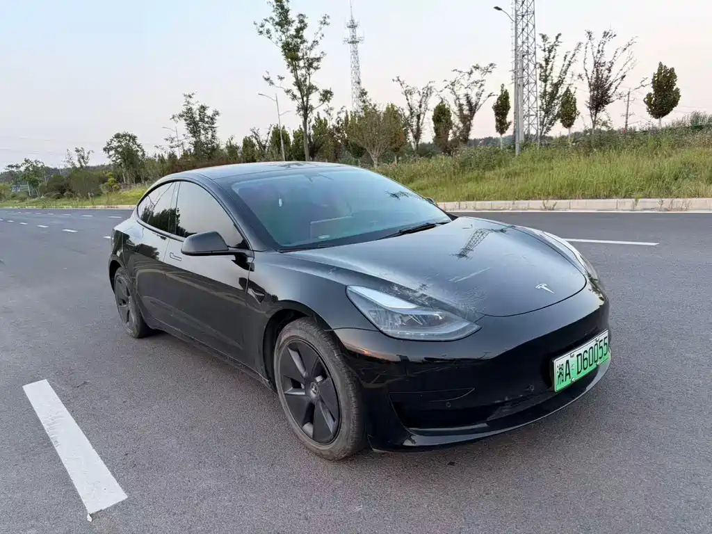 Tesla Model 3 — миниатюра 3