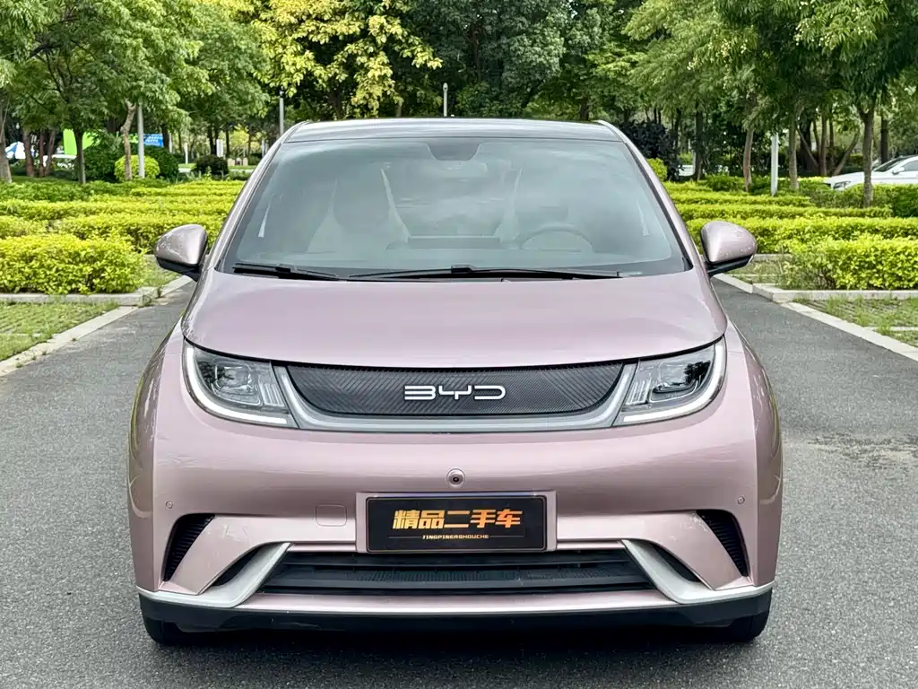 BYD Dolphin — миниатюра 2