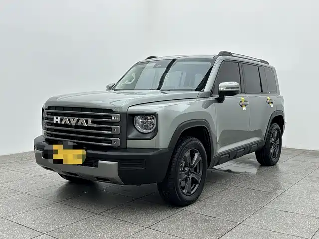 Haval Menglong New Energy 2024