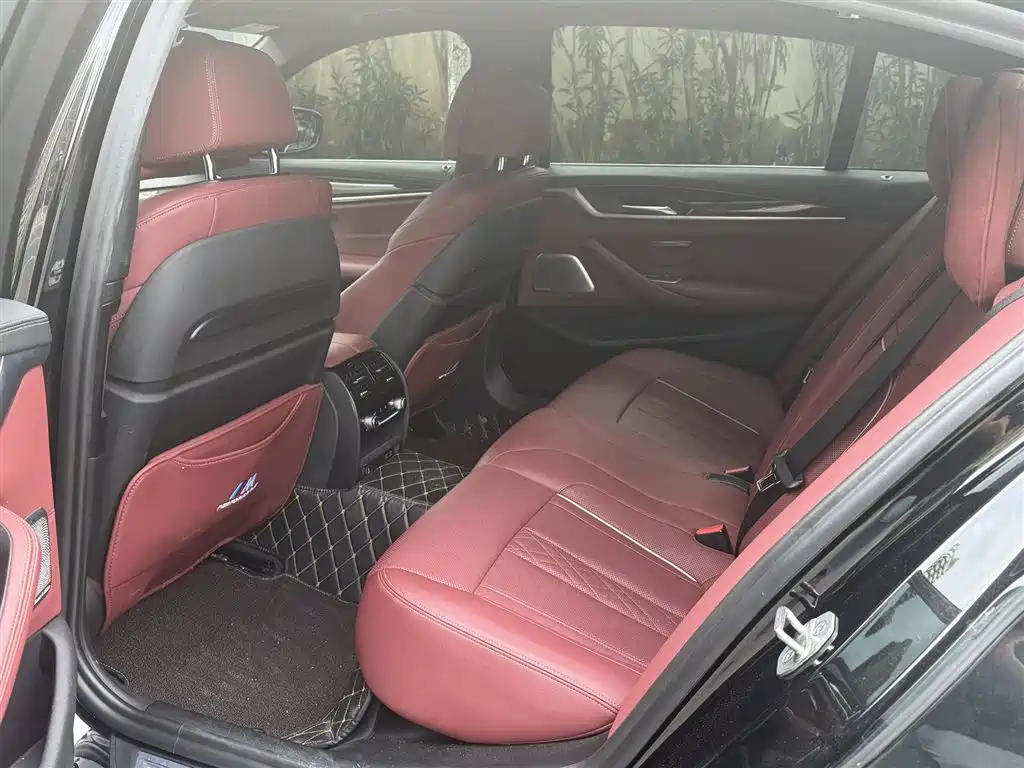 BMW 5 Series 5 2021 530Li Premium M Sport