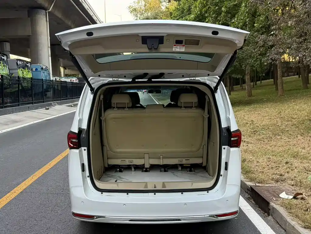 Buick GL8 — миниатюра 13
