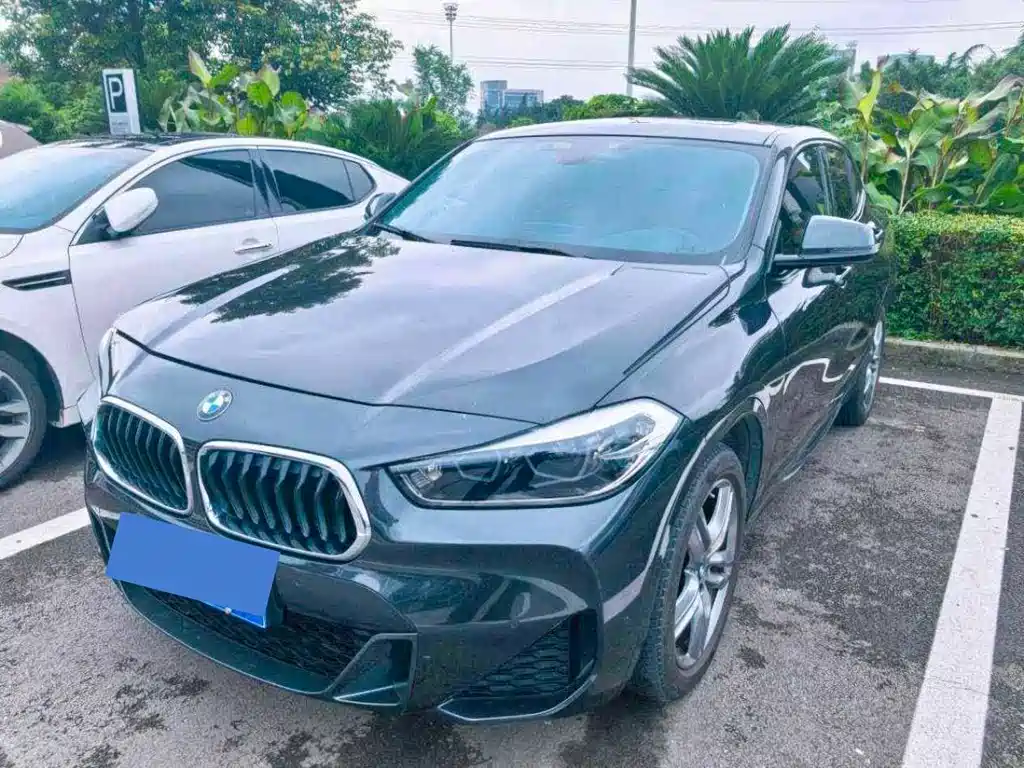 BMW X2