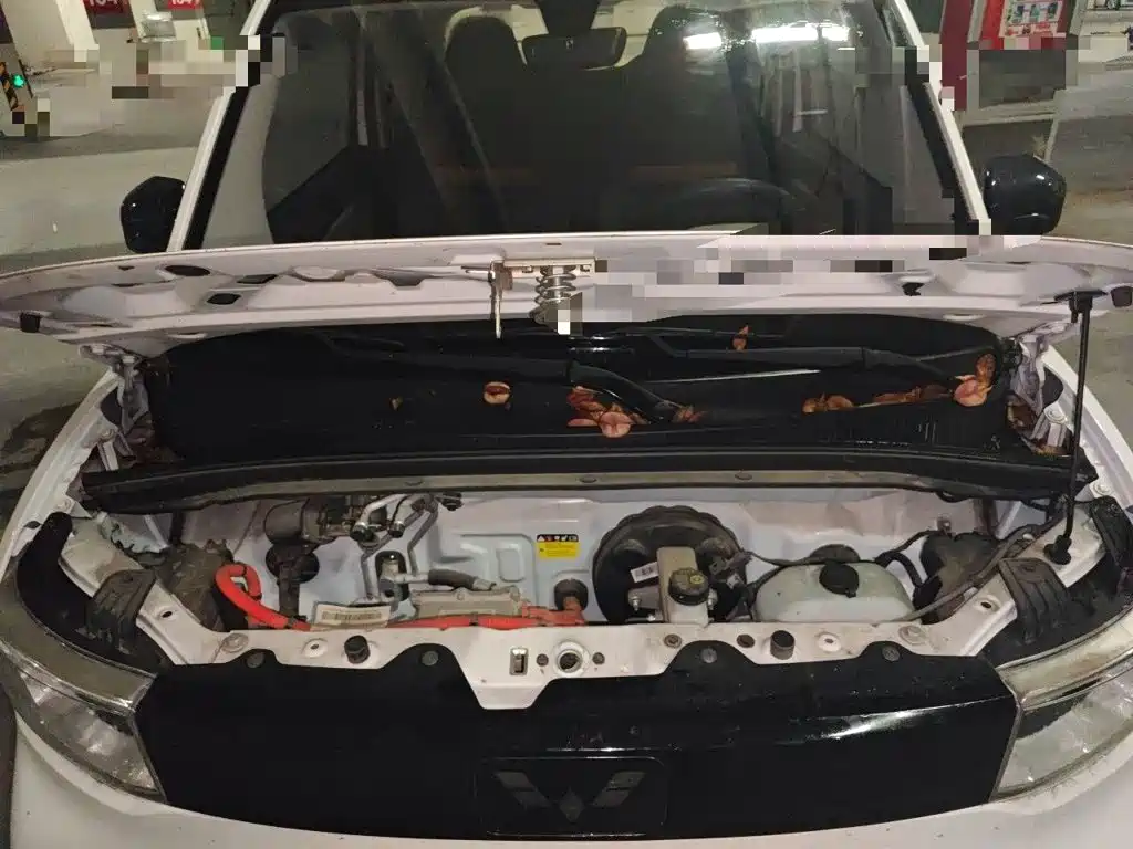 Wuling MINIEV — миниатюра 16