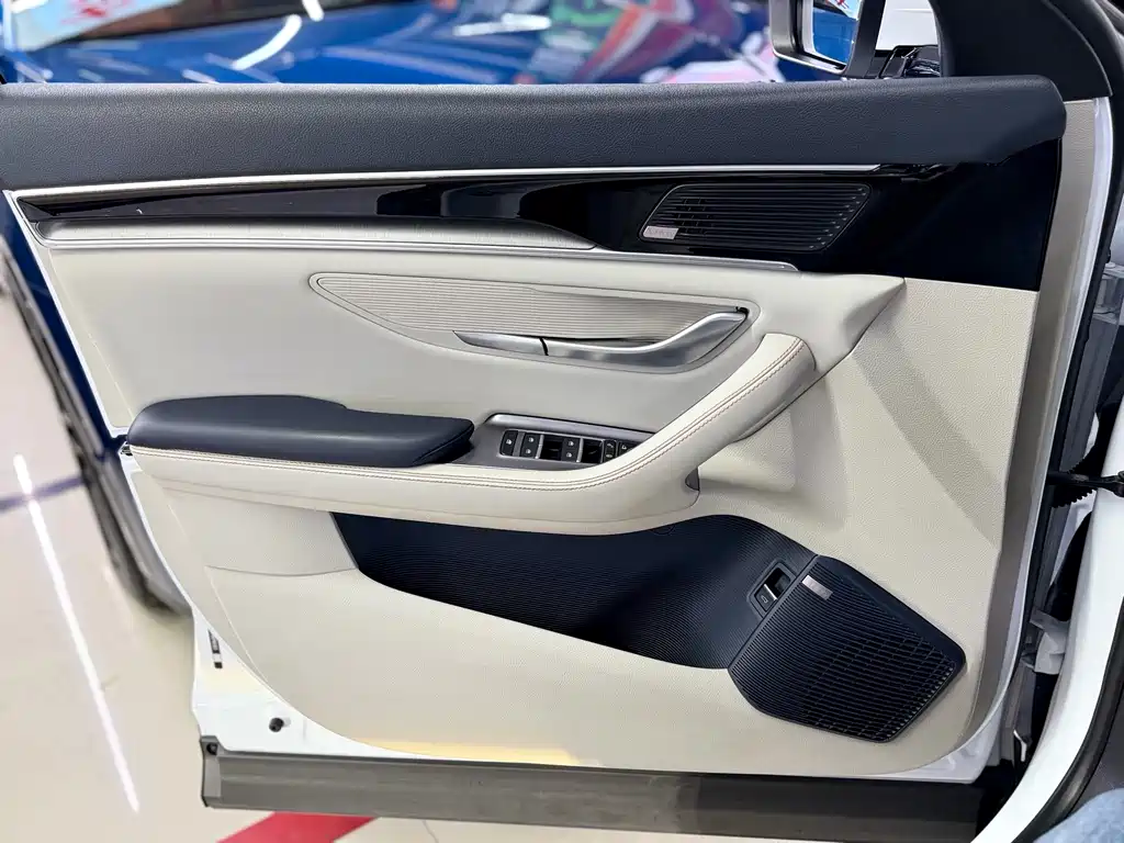 BYD PLUS New Energy — миниатюра 14