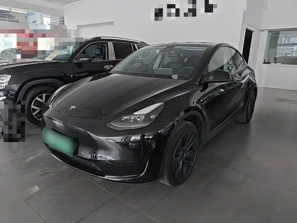 Tesla Model Y — миниатюра 2
