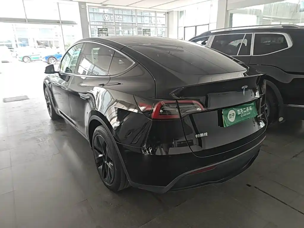 Tesla Model Y — миниатюра 5
