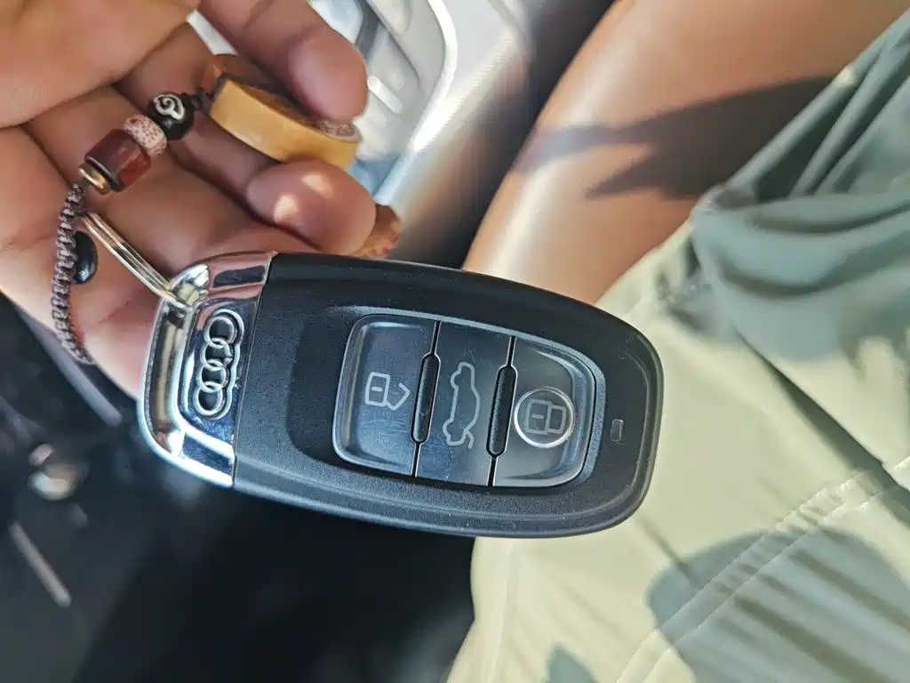 Audi A6L — миниатюра 9