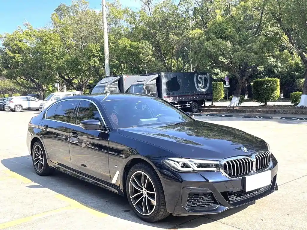 BMW 5 Series — миниатюра 3