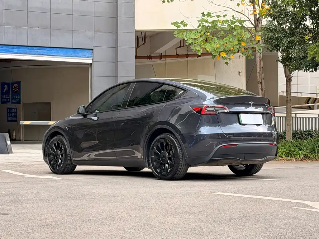 Tesla Model Y — миниатюра 7