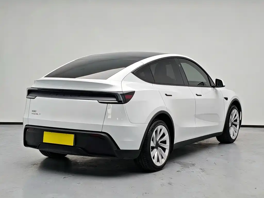 Tesla Model Y — миниатюра 4