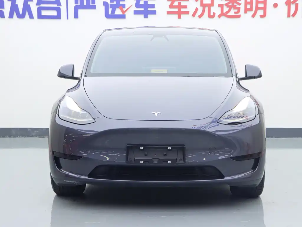 Tesla Model Y — миниатюра 3