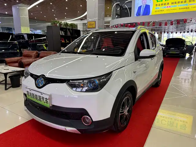 2018 BAIC EC