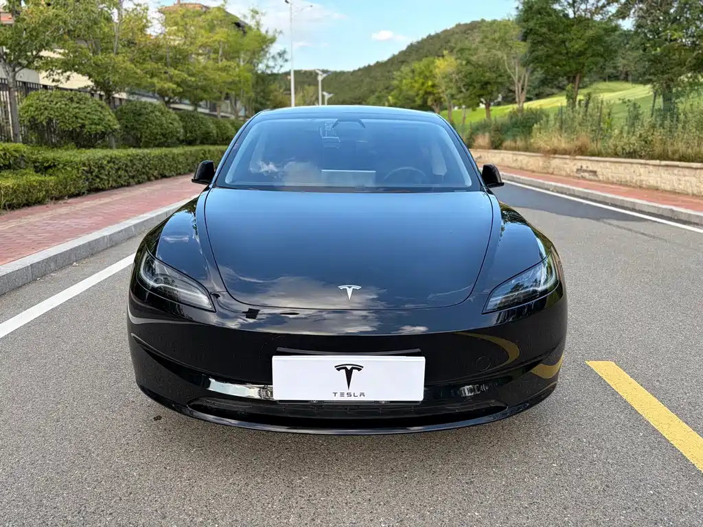 Tesla Model 3 — миниатюра 2