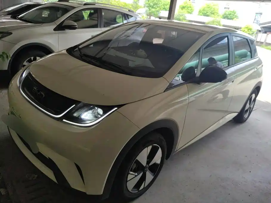 2023 BYD Dolphin - zdjęcie 1 z 16