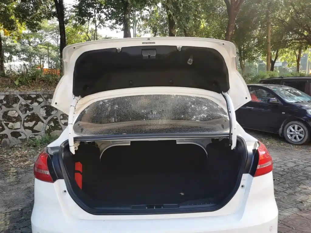 Ford Focus — миниатюра 19