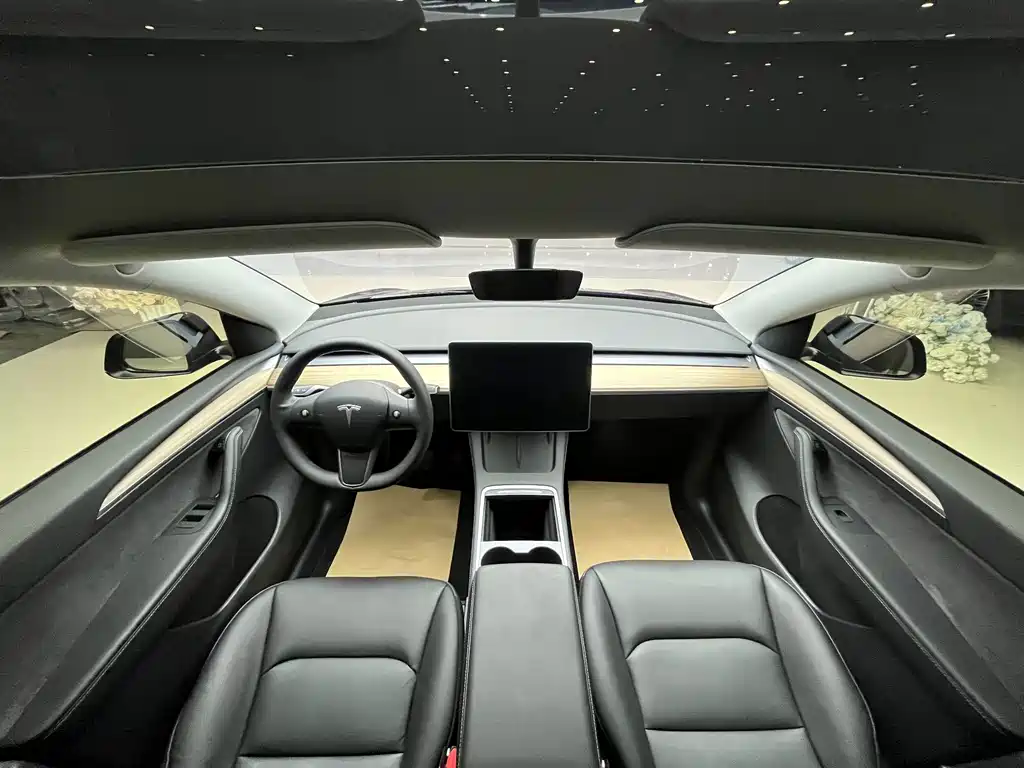 Tesla Model Y — миниатюра 20