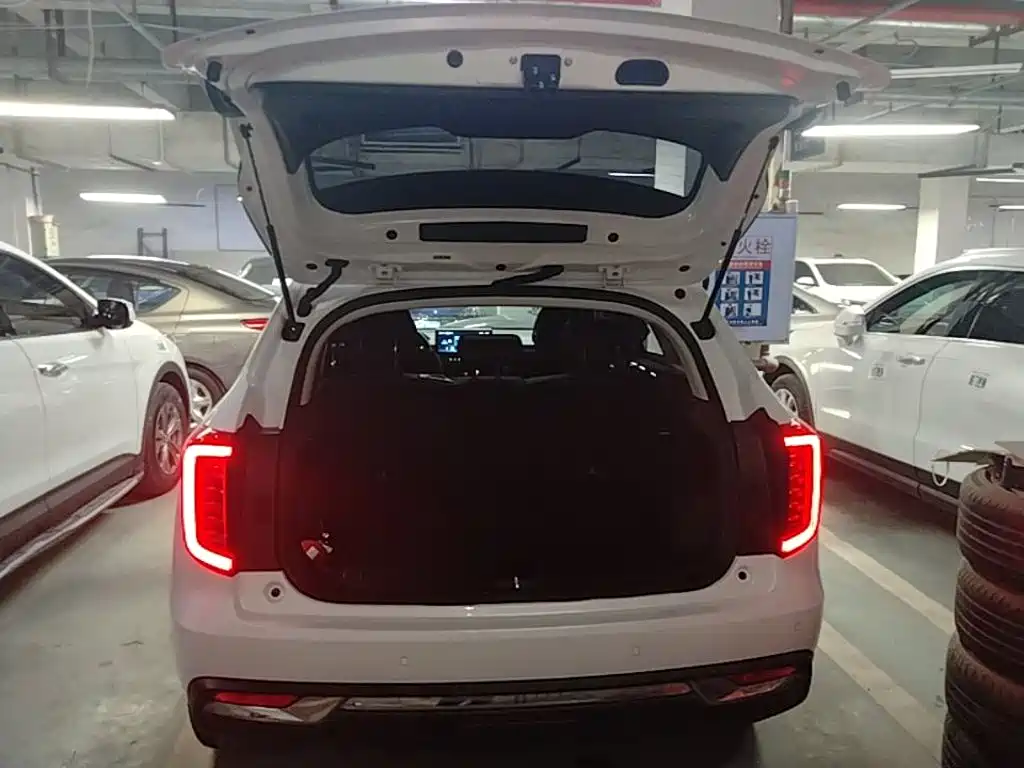 Haval Chulian — миниатюра 19