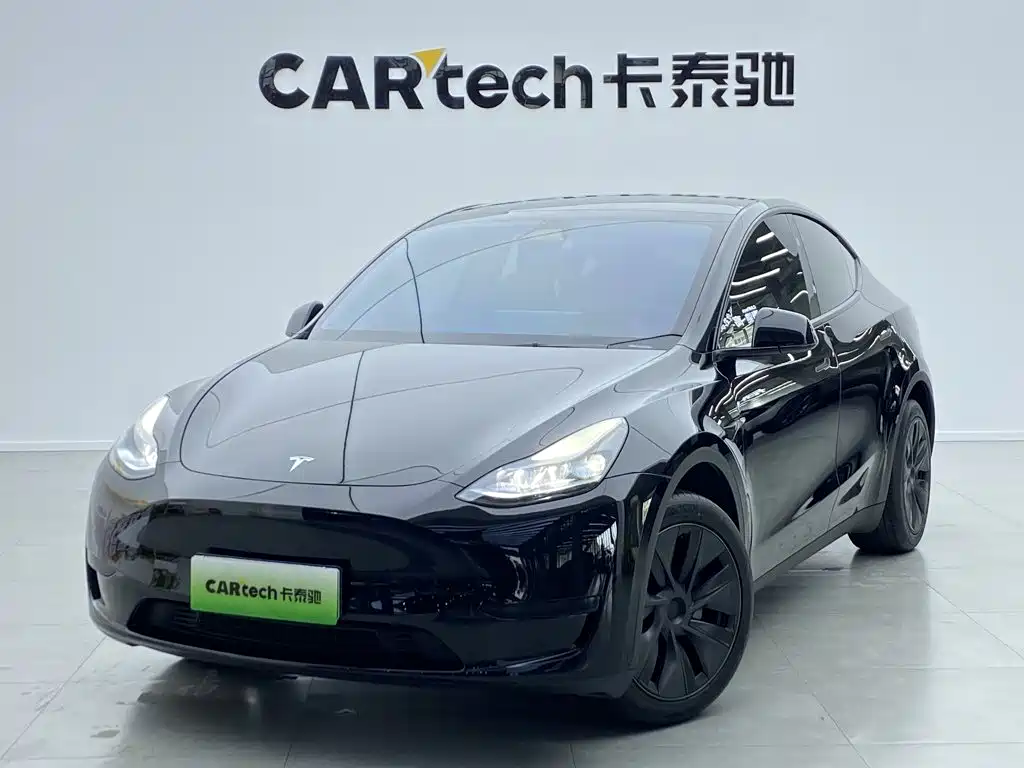 Tesla Model Y — миниатюра 11