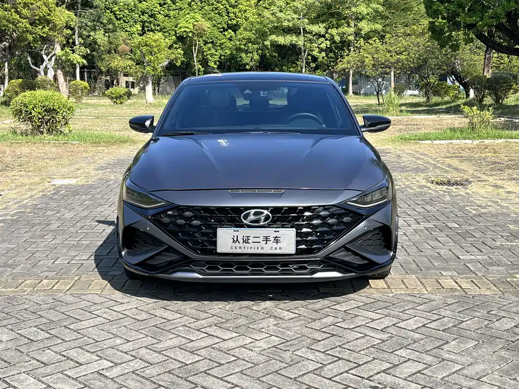 Hyundai Fista — миниатюра 2