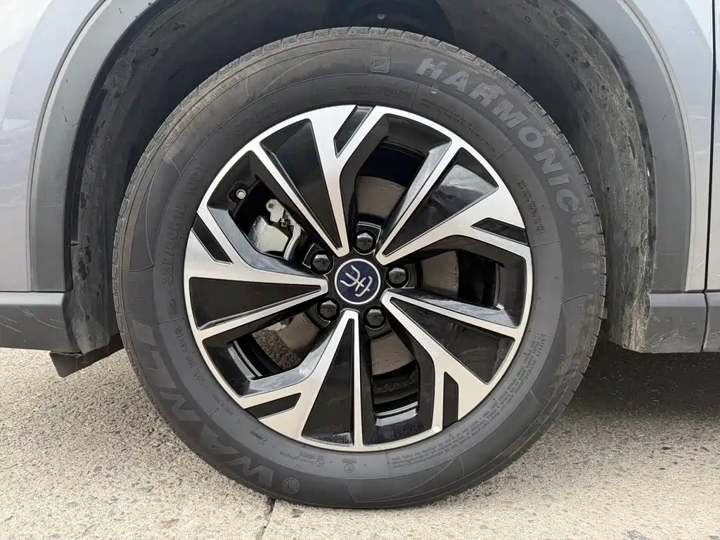 BYD Pro New Energy — миниатюра 9