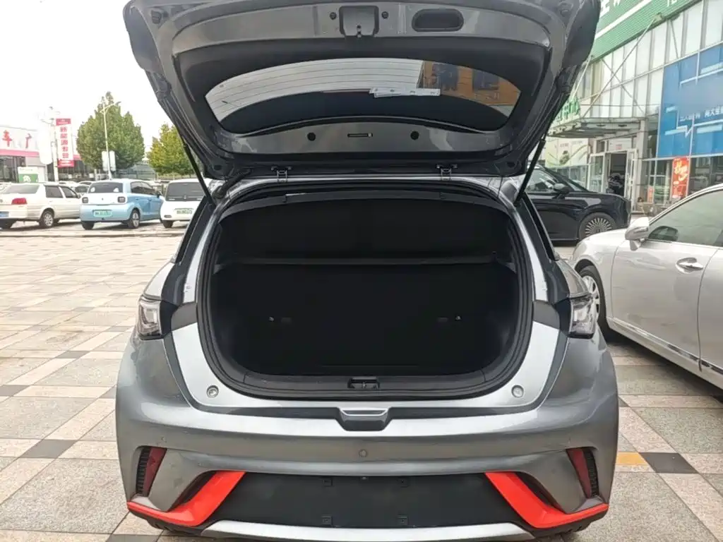 BYD Dolphin — миниатюра 19