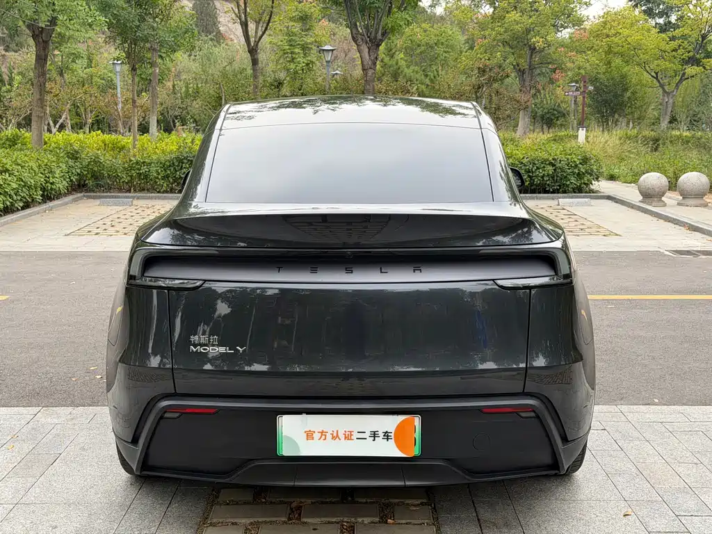 Tesla Model Y — миниатюра 4