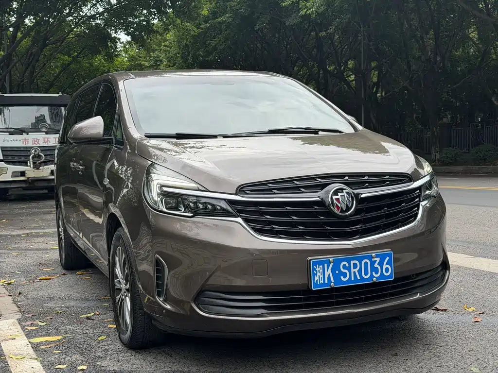 Buick GL8 — миниатюра 8