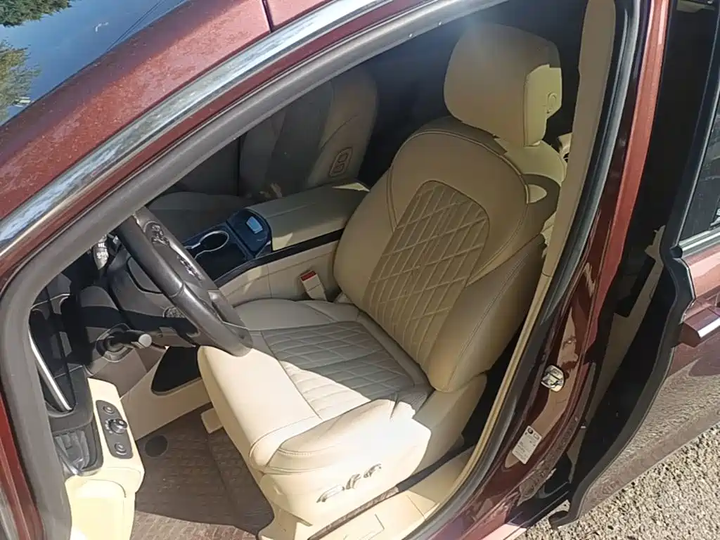 Buick GL8 — миниатюра 15
