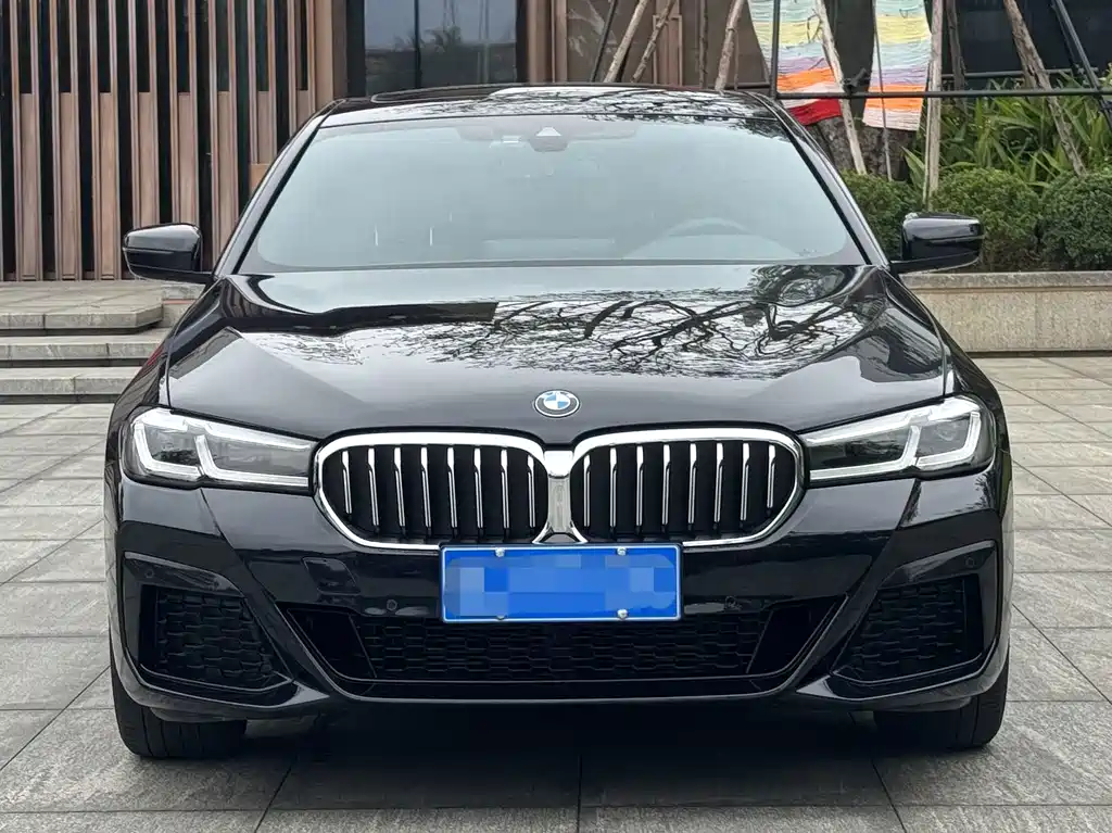 BMW 5 Series — миниатюра 3