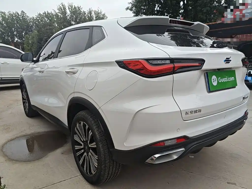 Oshan Oushang X5 — миниатюра 5