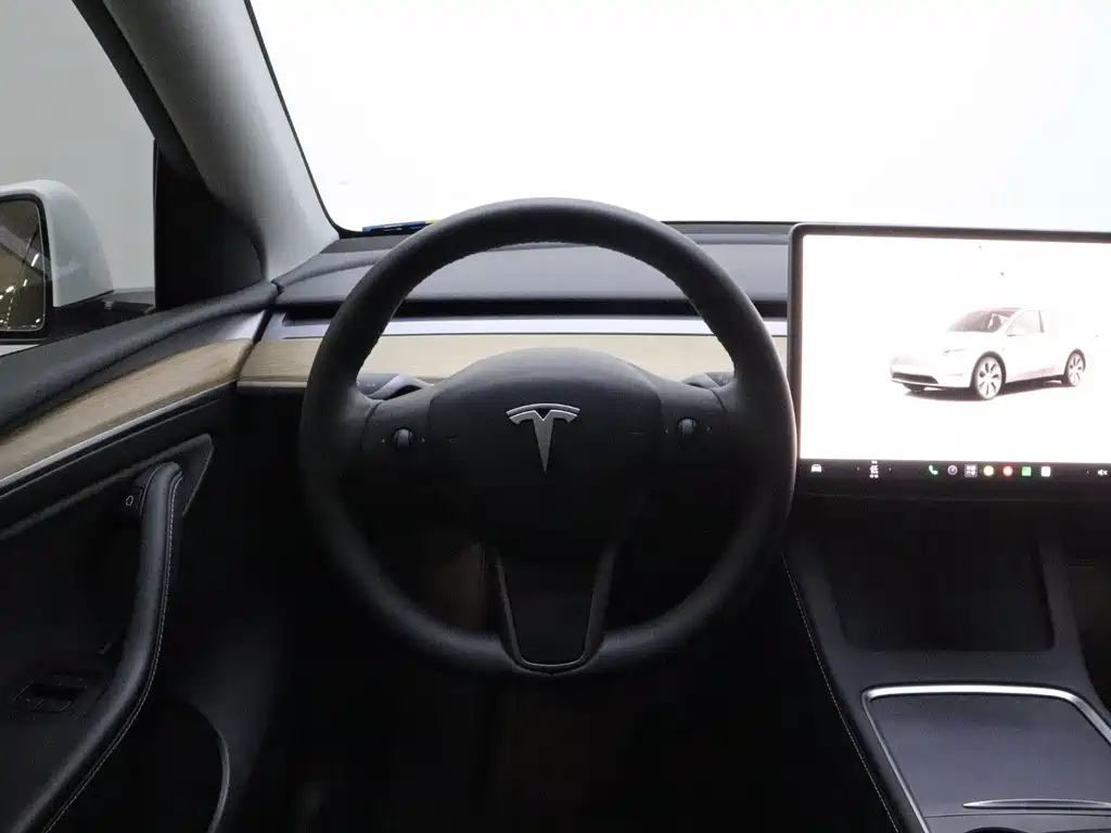 Tesla Model Y — миниатюра 16