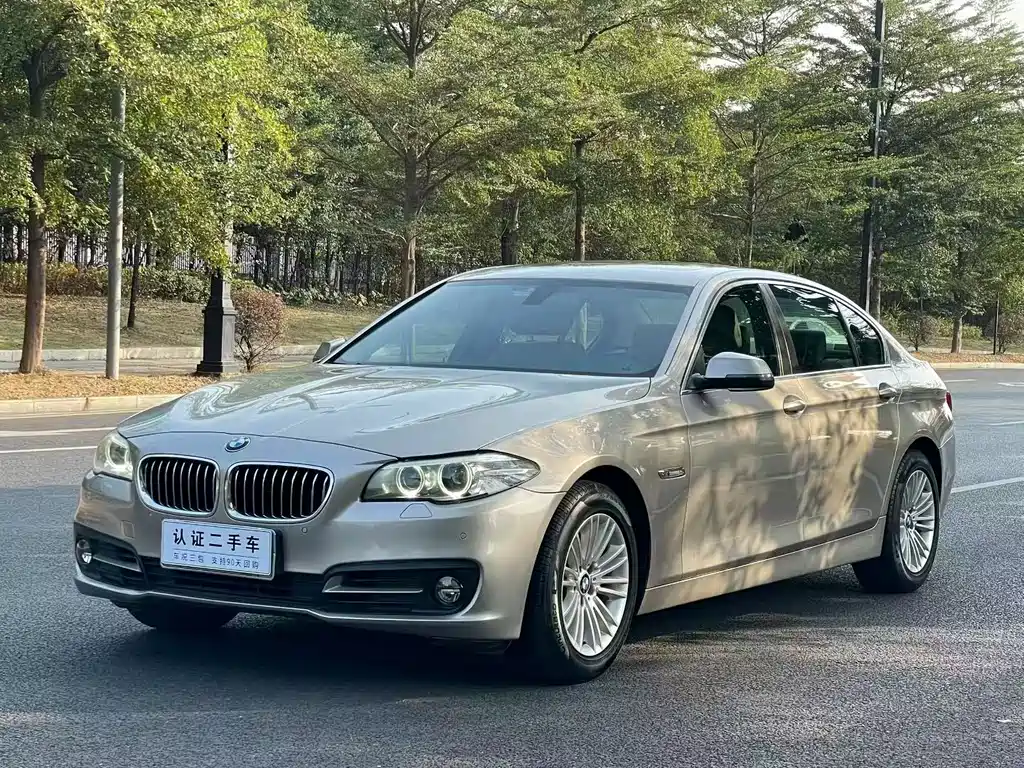 BMW 5 Series 2015