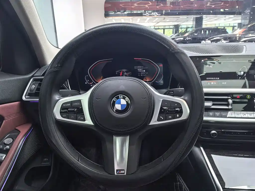 BMW 3 Series — миниатюра 16