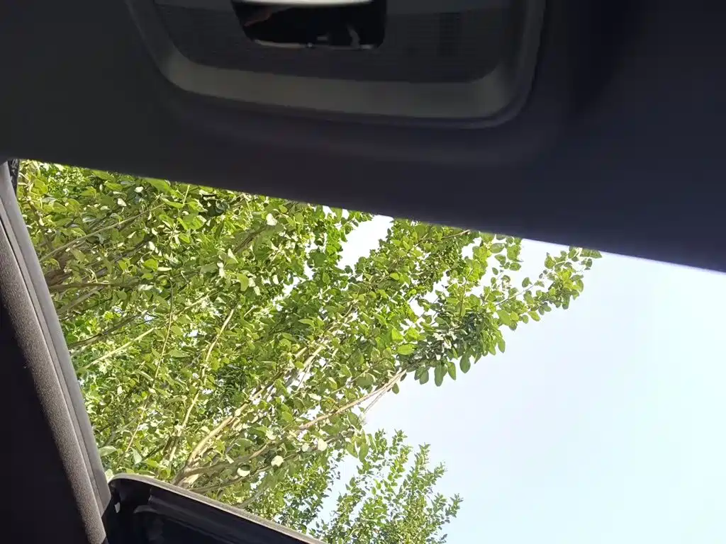 BYD PLUS New Energy — миниатюра 19