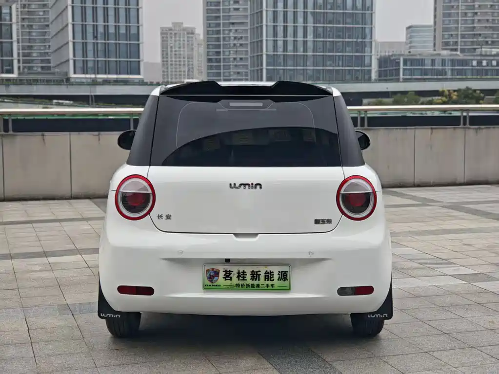 Qiyuan Lumin — миниатюра 6