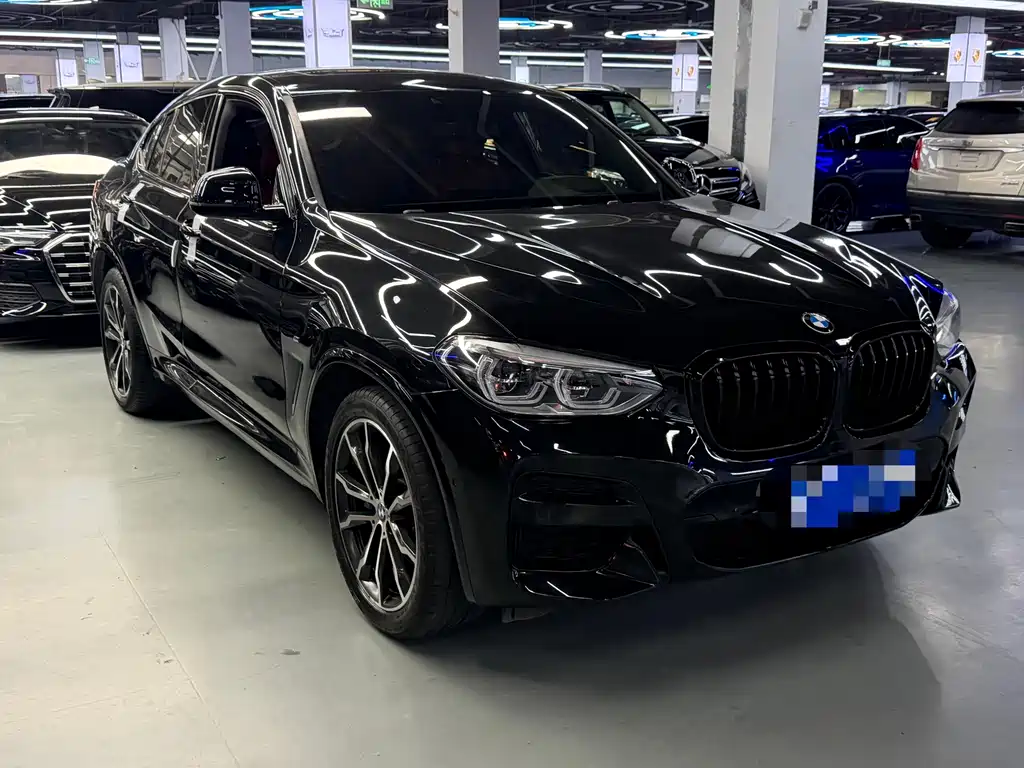BMW X4 — миниатюра 4