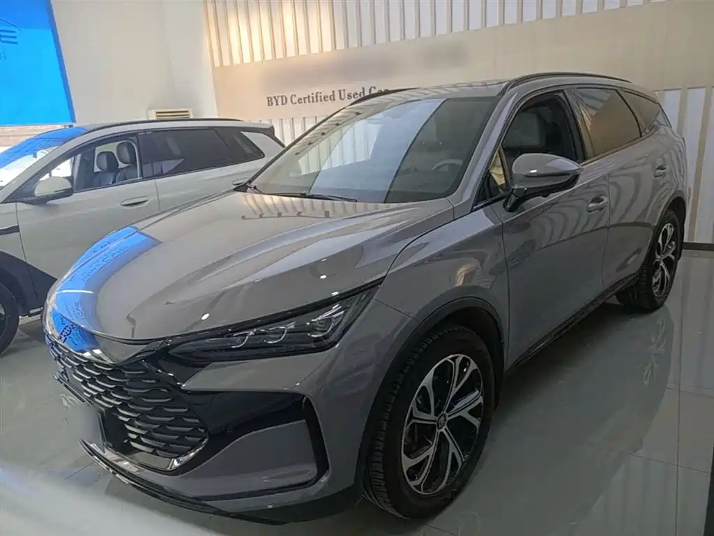 Byd Tang New Energy 2024