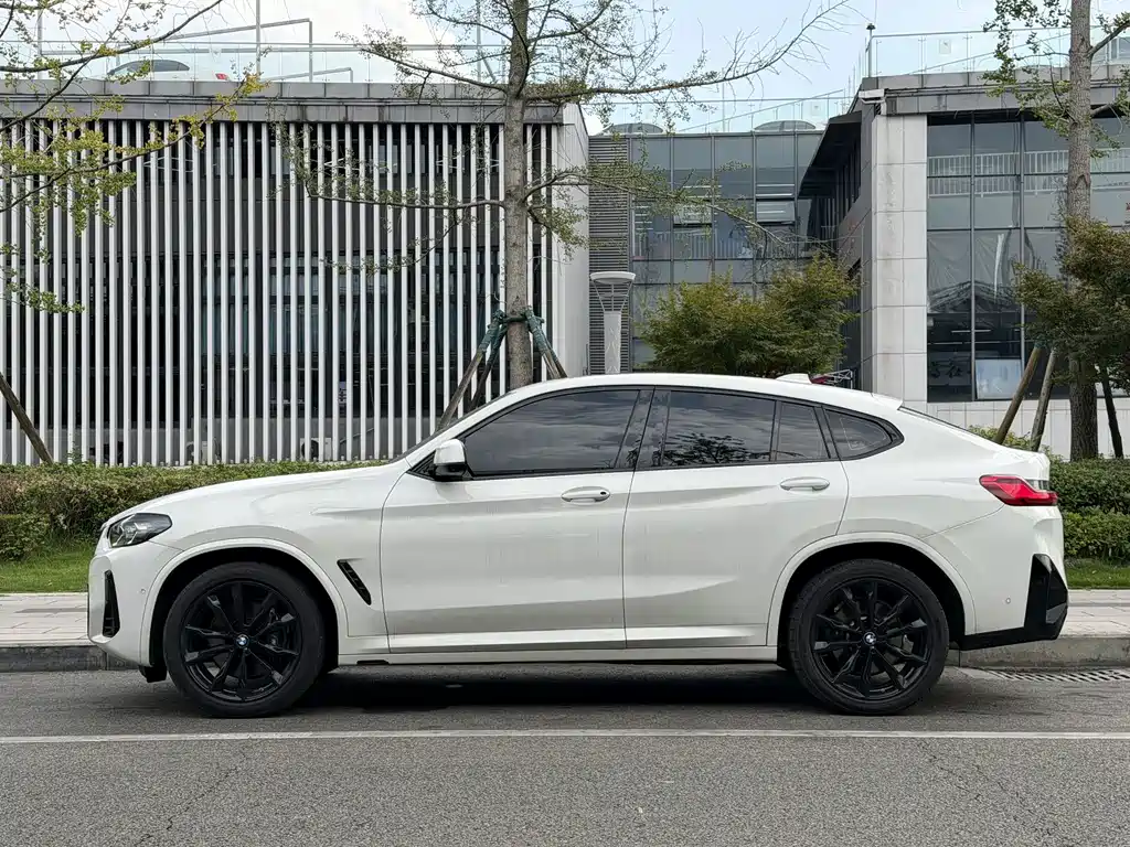BMW X4 — миниатюра 2