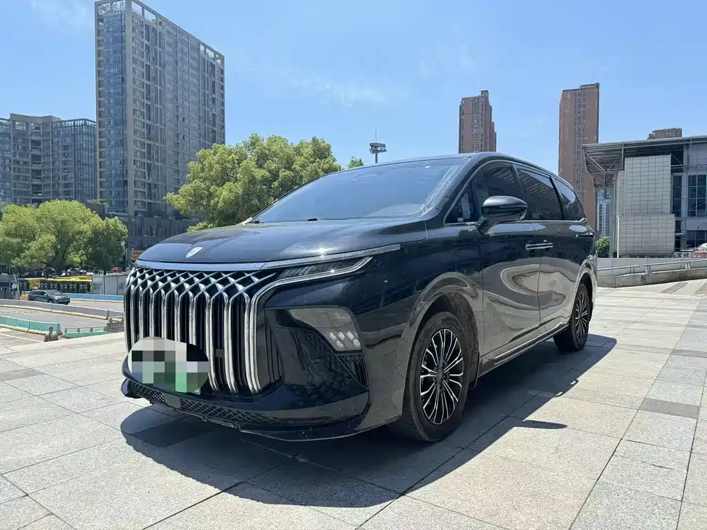 Fengxing Xinghai V9 2024