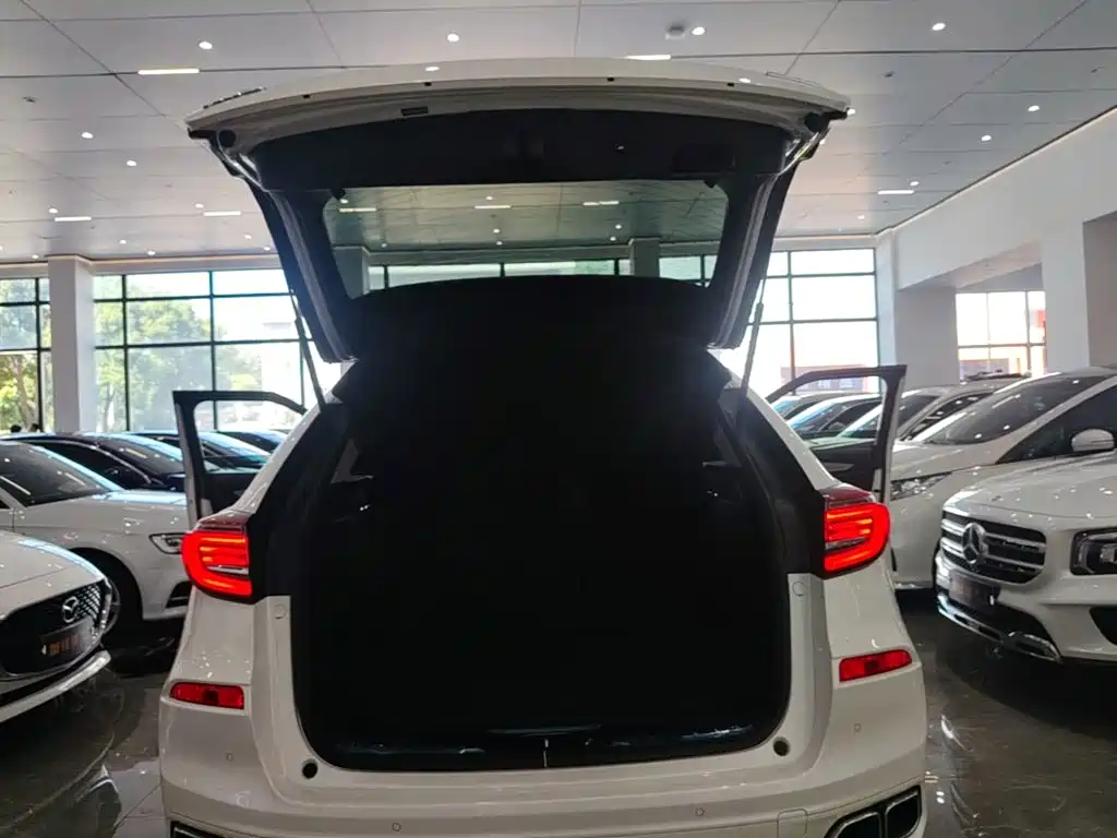 Honda Avancier — миниатюра 19