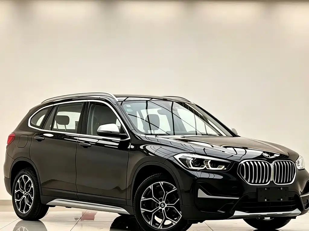 BMW X1 — миниатюра 2