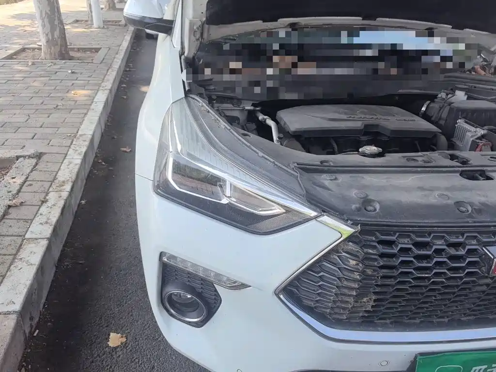 Haval H6 Coupe — миниатюра 7