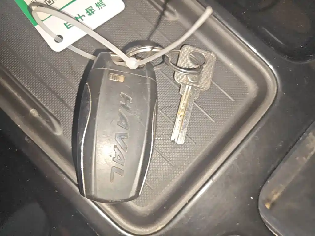 Haval Big Dog — миниатюра 9