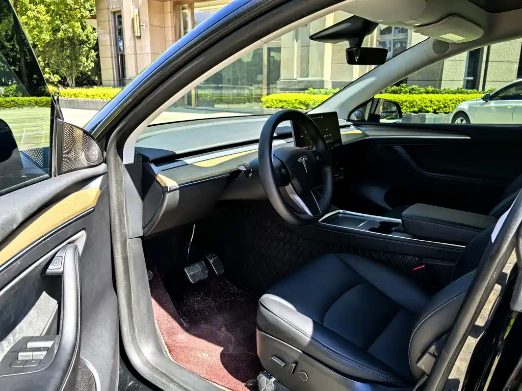 Tesla Model Y — миниатюра 4