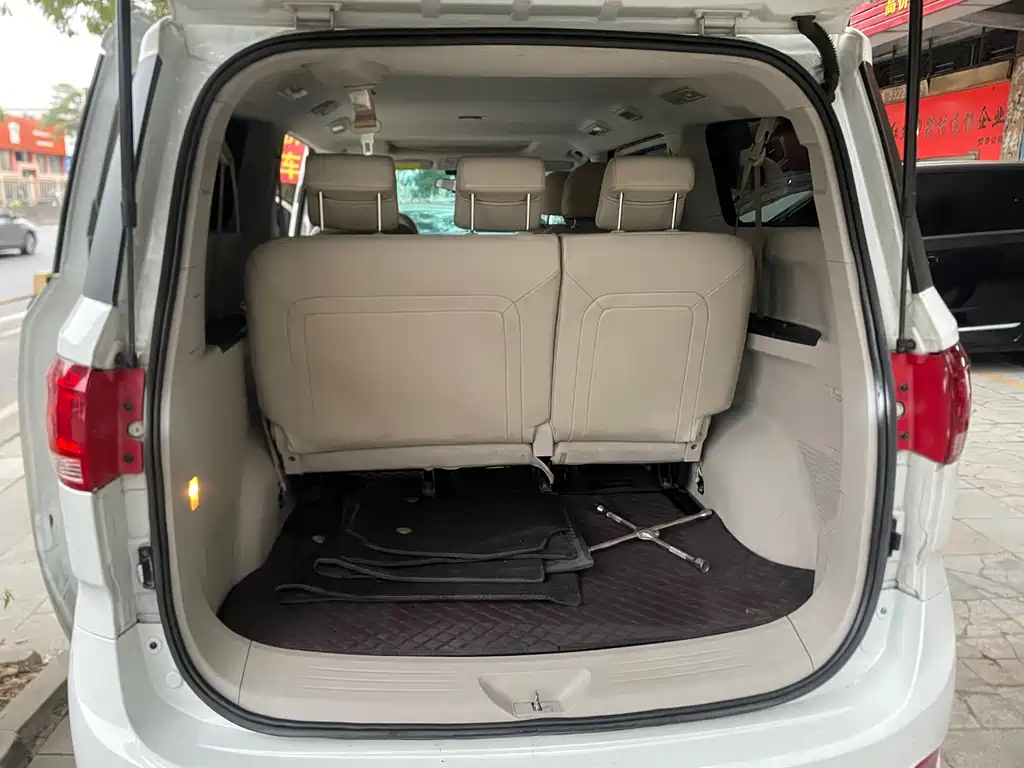 SAIC MAXUS CHASE G10