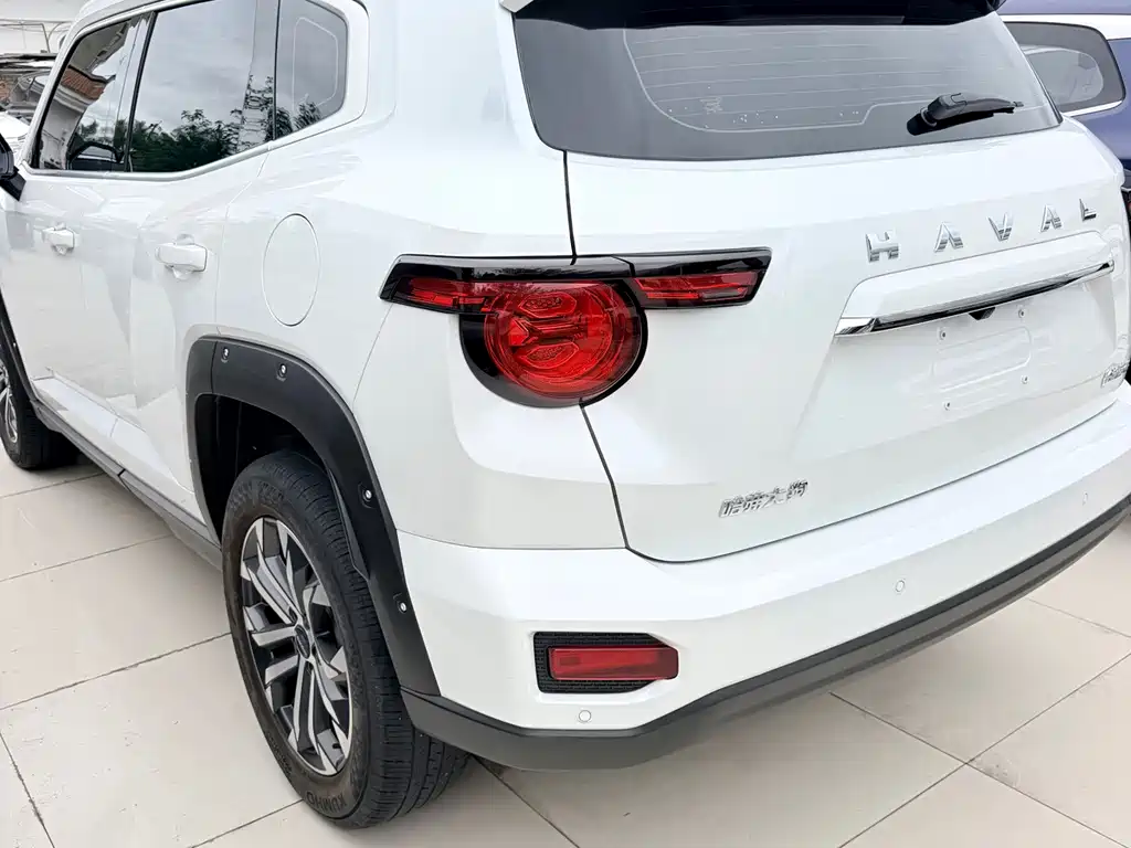Haval Big Dog PLUS — миниатюра 8