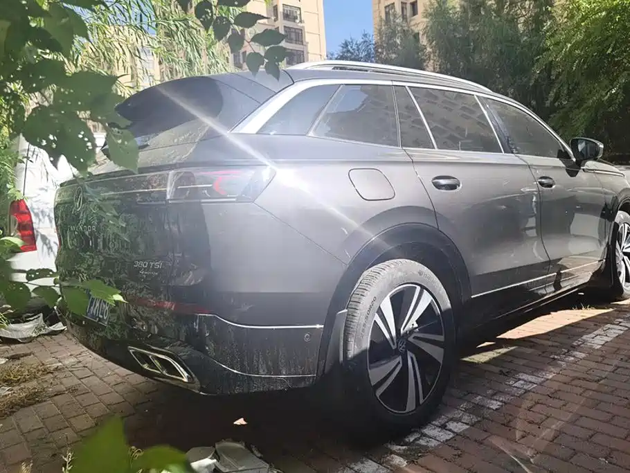 Volkswagen Tavendor — миниатюра 3