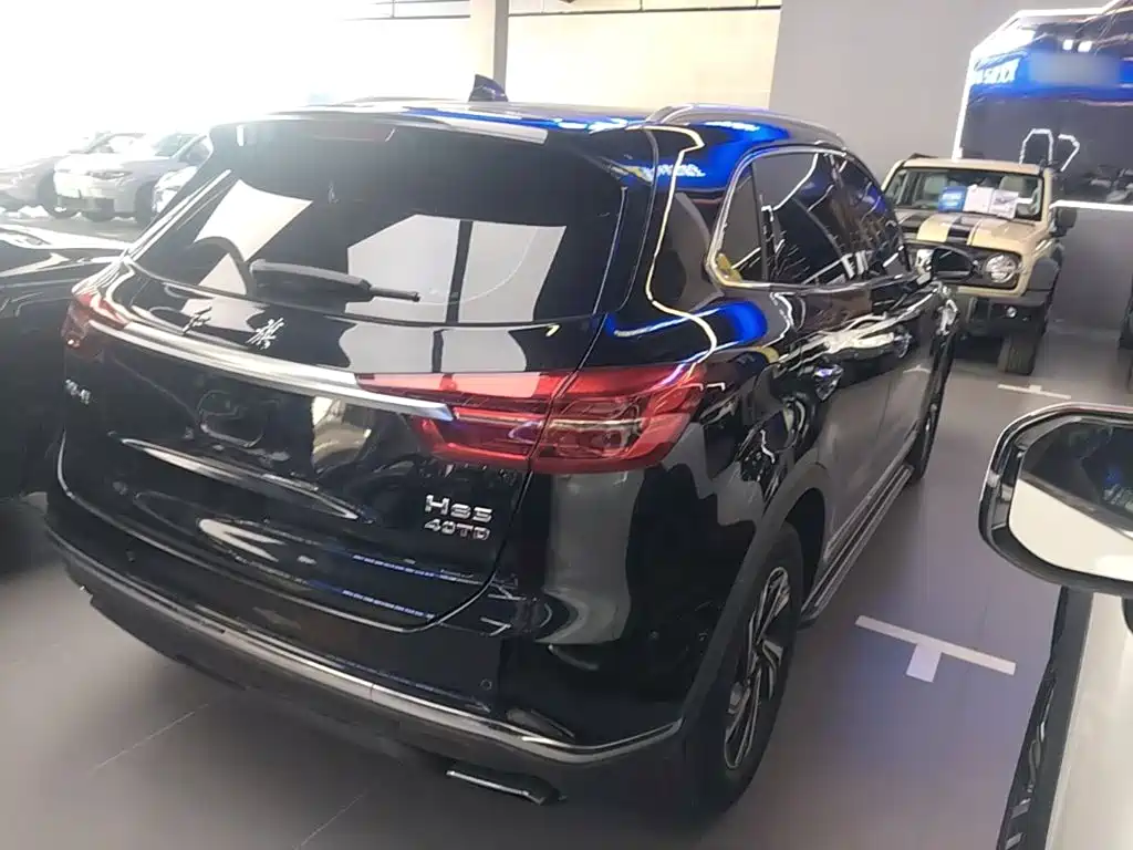 Hongqi Hongqi HS5 — миниатюра 7