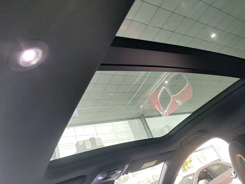 BYD PLUS New Energy — миниатюра 16